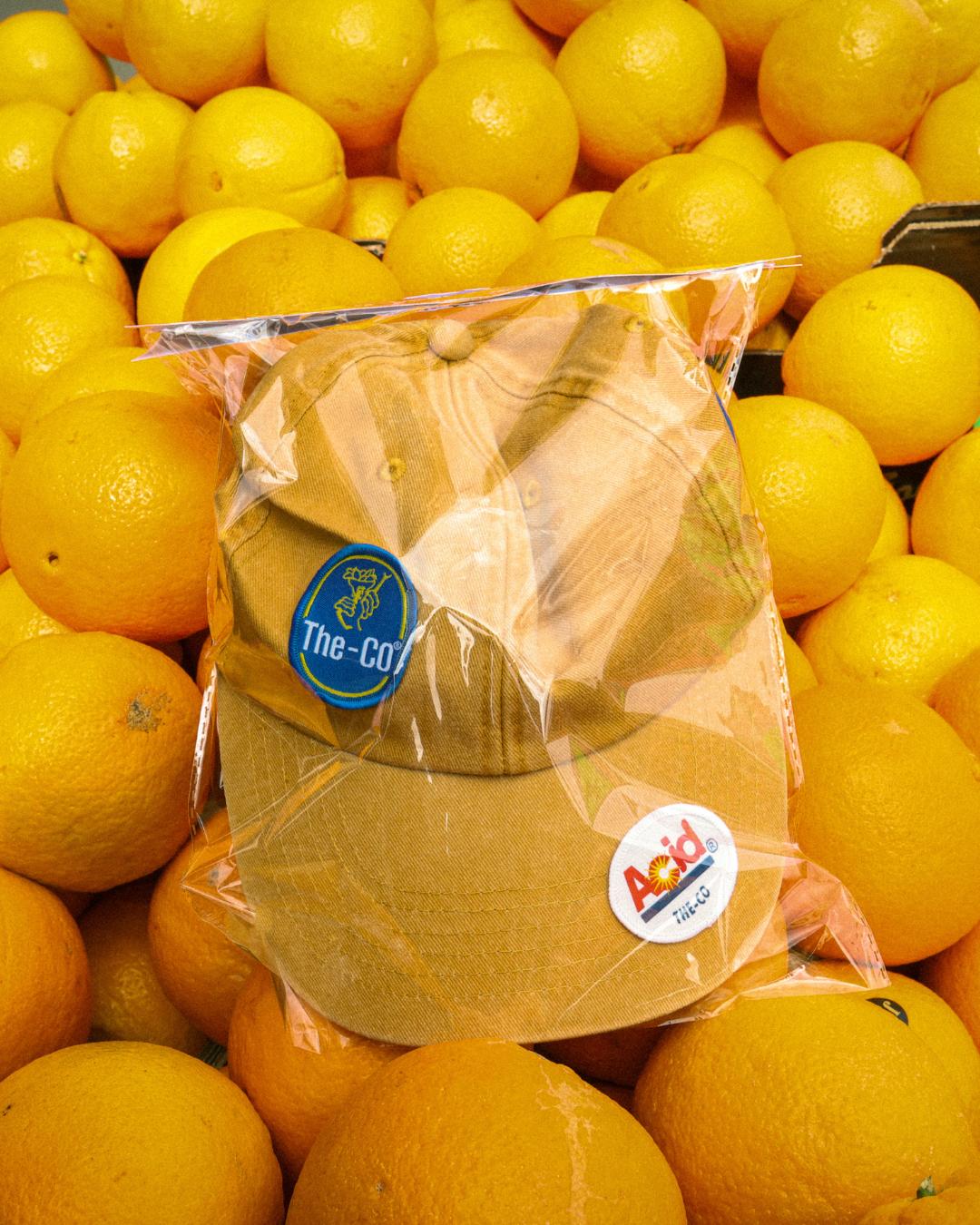 Fruits of Life - Cap
